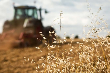 Ag Loans